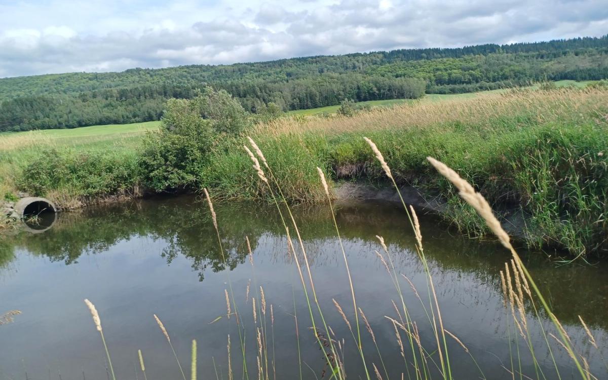 Rivière en milieu agricole